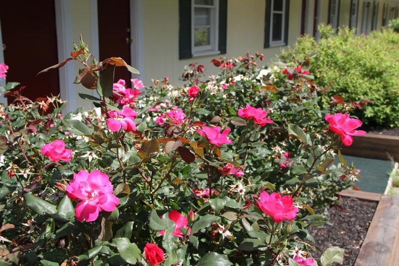 Lodge At Kennebunk Kültér fotó